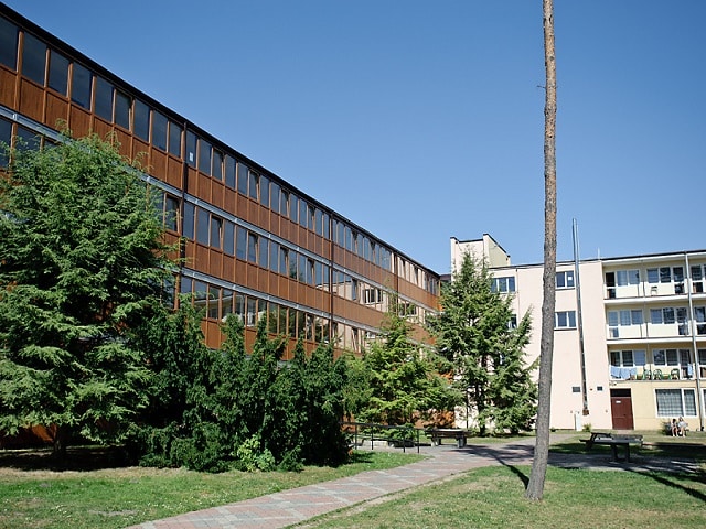 obóz-dla-dzieci-w-mrzezyno