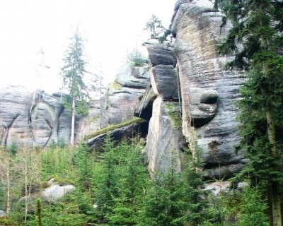 skalne zielone lasy