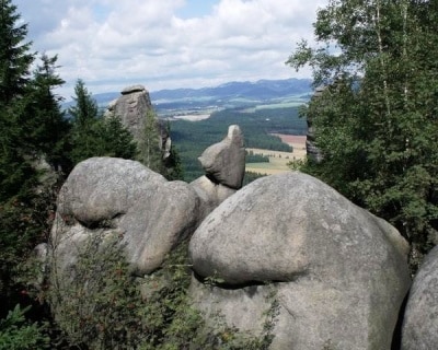 widok z pagórka w lesie