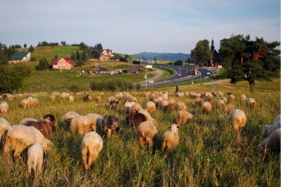 piękna okolica w Rabki Zdrój
